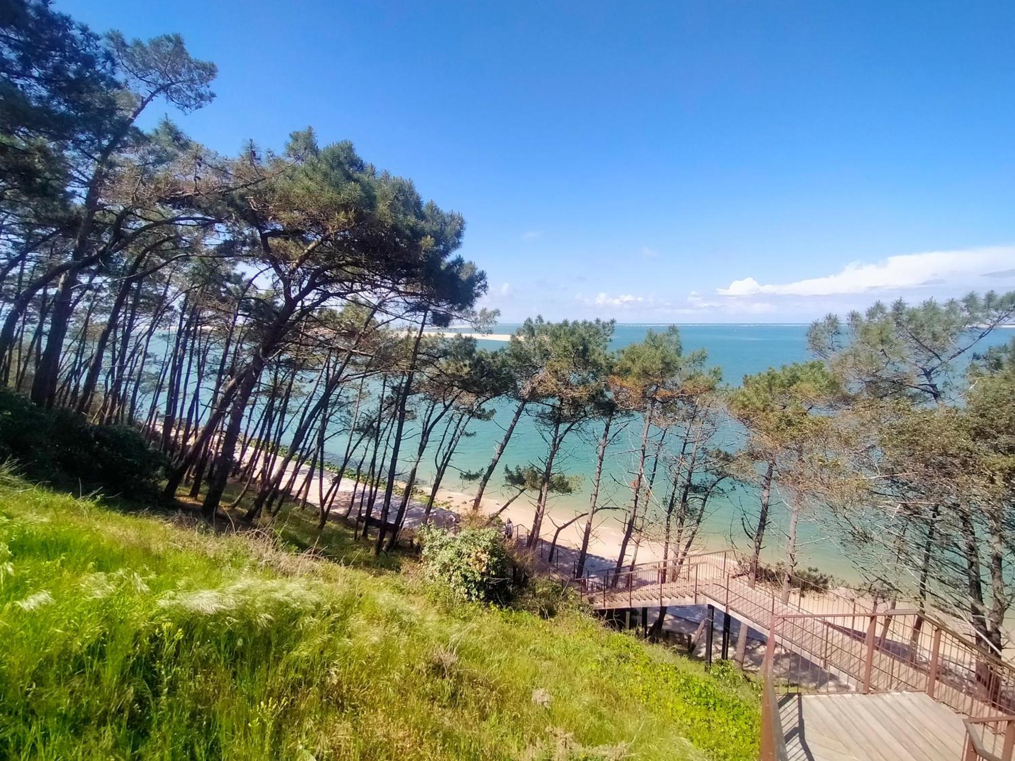 GÎTE LE PADDLE 2 pers 15 min océan 35 min Bordeaux jardin parking wifi Brach Buitenkant foto